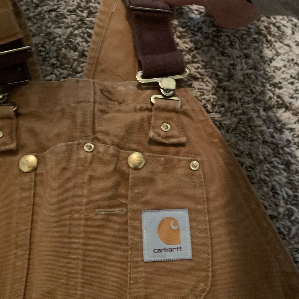 Cathartic Bib Overalls